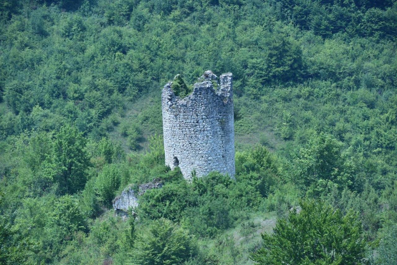 Imanje Jelas Szluin Kültér fotó