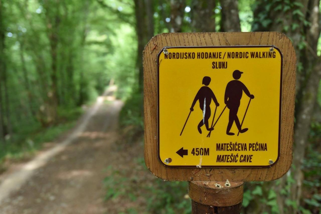 Imanje Jelas Szluin Kültér fotó
